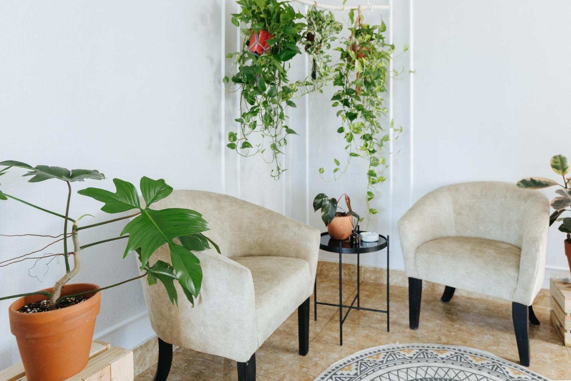 Ivy Hotel & Apartment - Stay 24H Hanoi Bagian luar foto